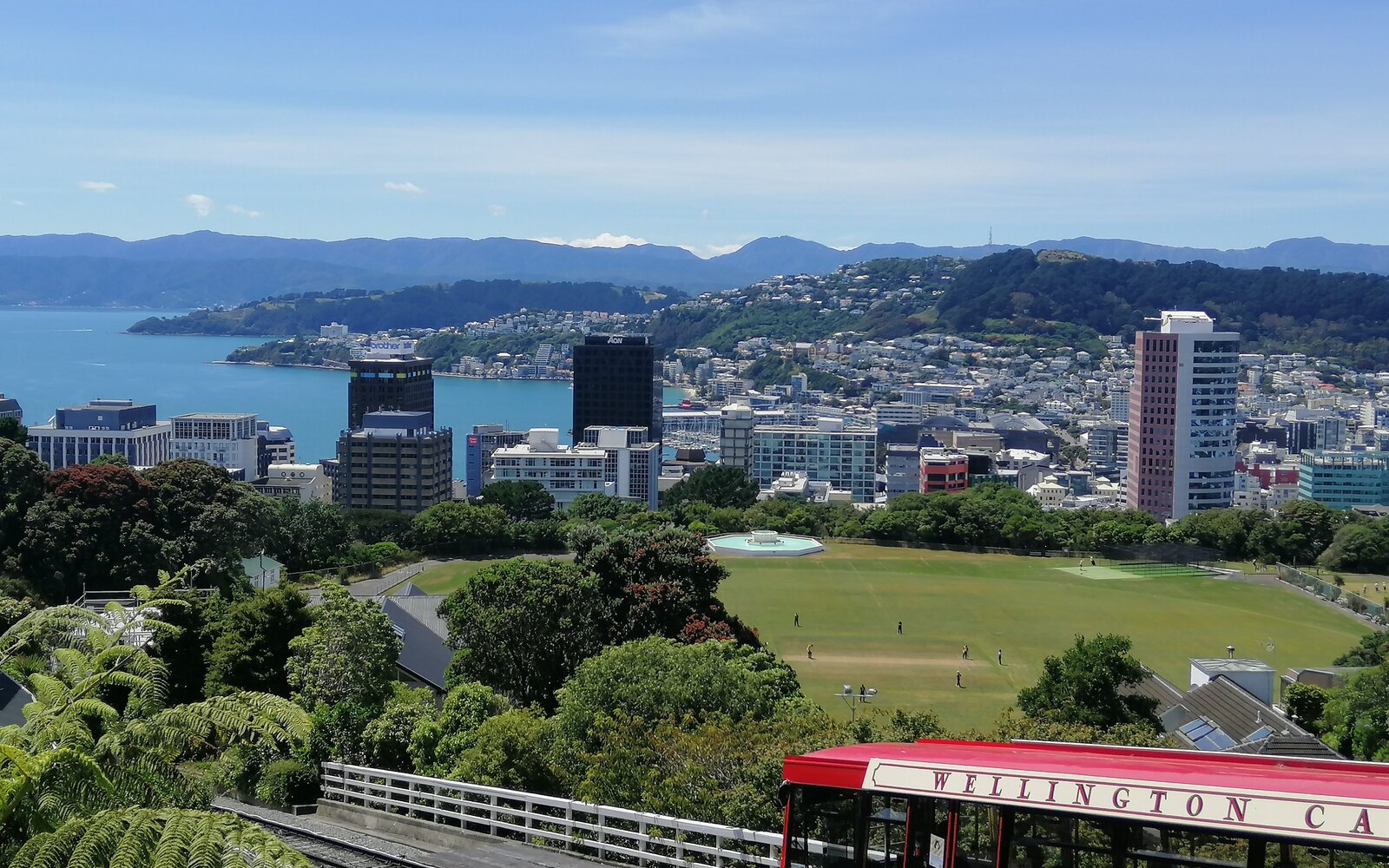 赤いウェリントン・ケーブルカーと、丘から見下ろす港、市街地、住宅地