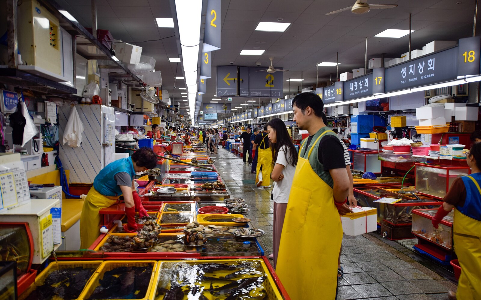 水槽と魚介が並び、働く人と買い物客が行き交うチャガルチ市場(2019年撮影)