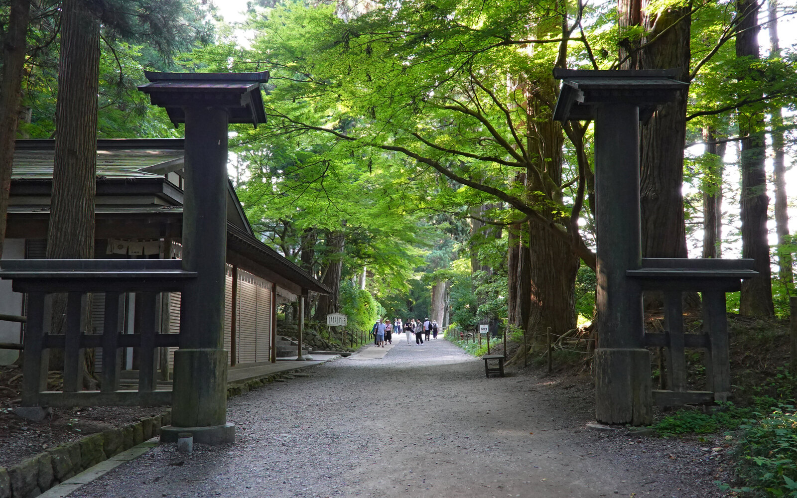 中尊寺の杉木立に囲まれた参道と木造の門