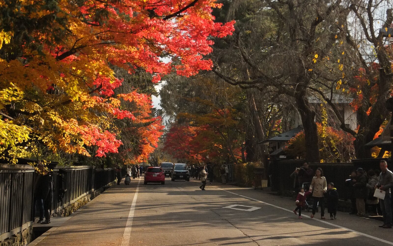 紅葉に包まれた角館の武家屋敷通りと両側に続く黒塀