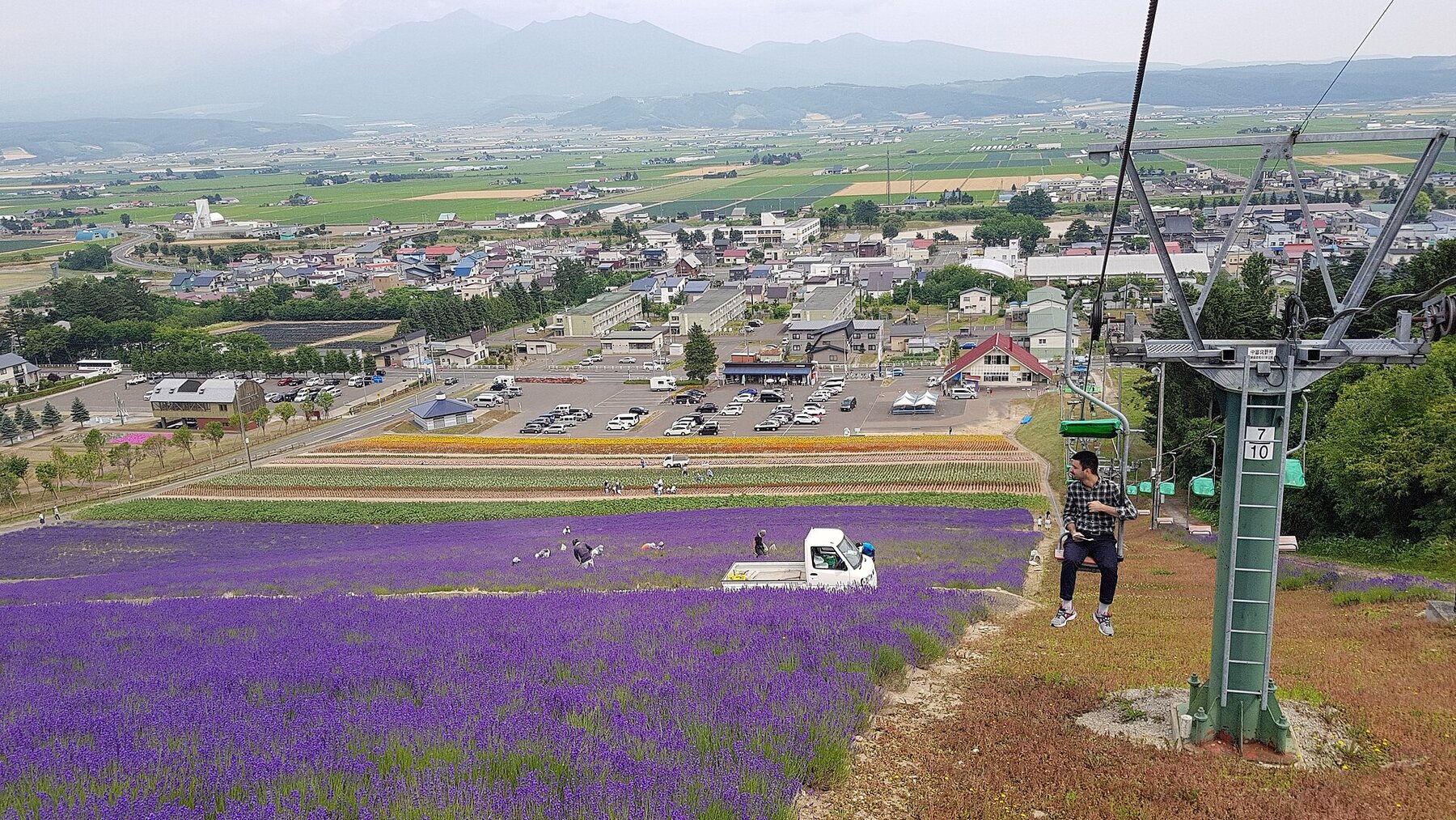 富良野のラベンダー畑。開花状況は訪問前に公式の花情報を確認