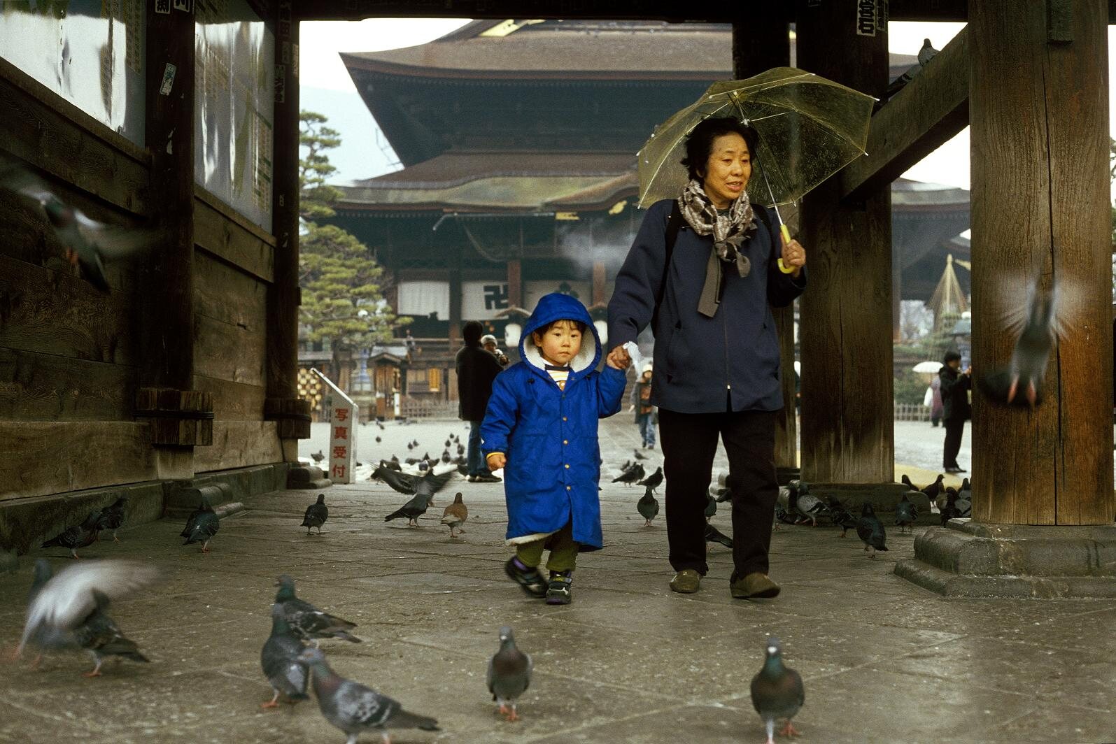 善光寺山門の先に見える本堂。参拝時間は公式で確認