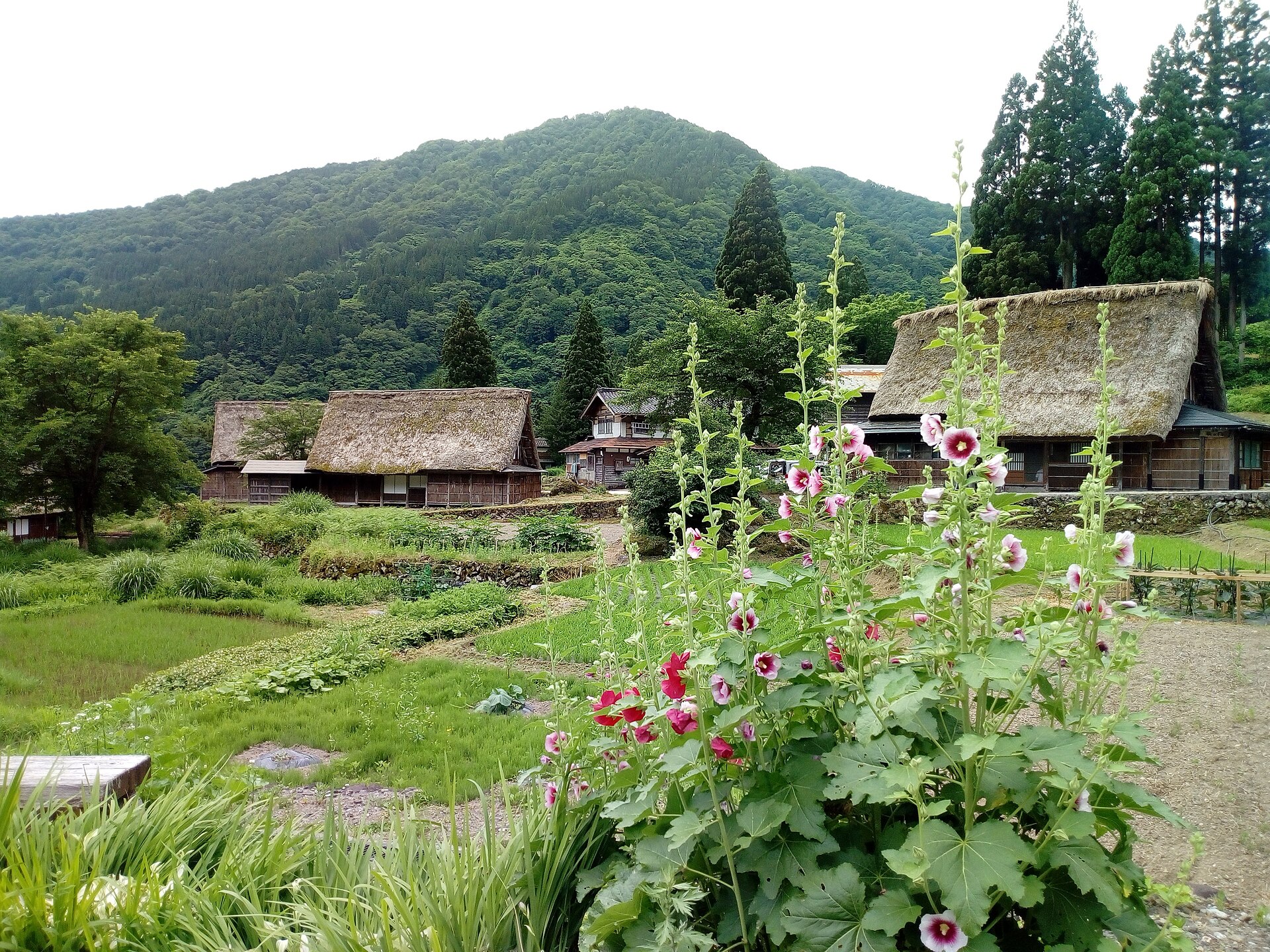 白川郷・荻町の合掌造り集落。生活区域と私有地に配慮して見学