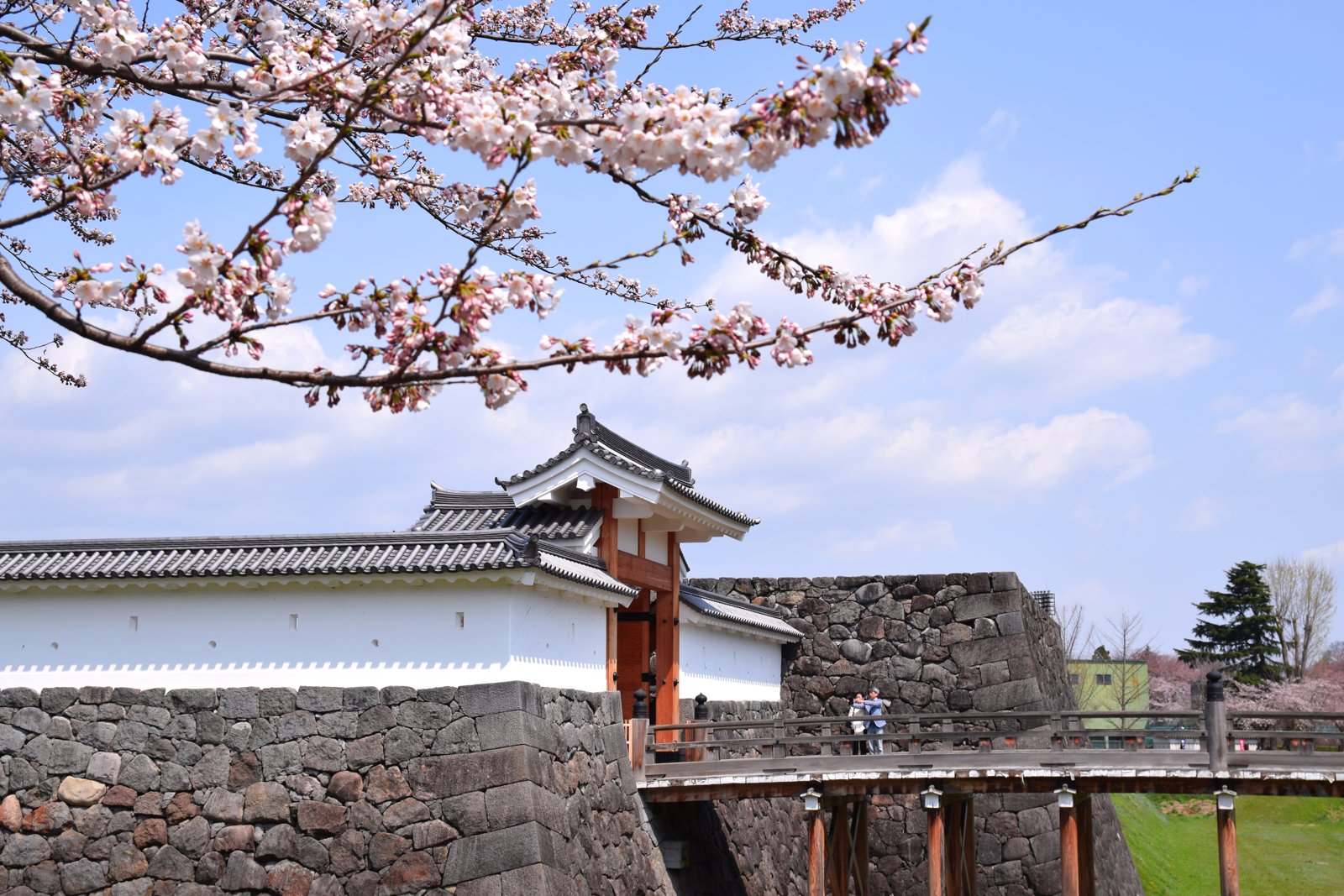 霞城公園の東大手門と桜。開花状況は訪問日と異なります